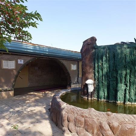 محوطه کتابخانه