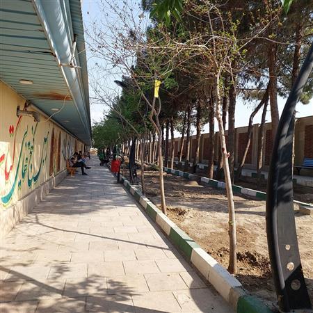 محوطه کتابخانه